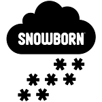snowborn studios